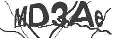 Security Captcha Image
